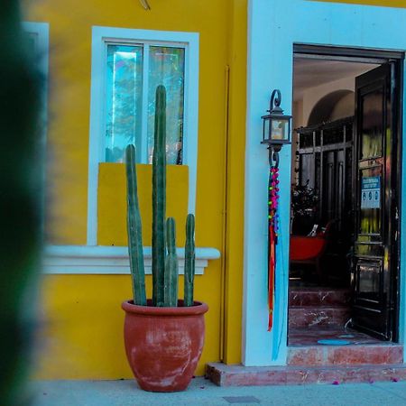 El Encanto Inn & Suites San José del Cabo Buitenkant foto